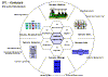 nmod020.gif (9959 Byte)